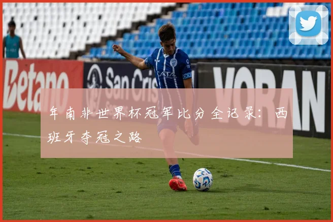 年南非世界杯冠军比分全记录：西班牙夺冠之路